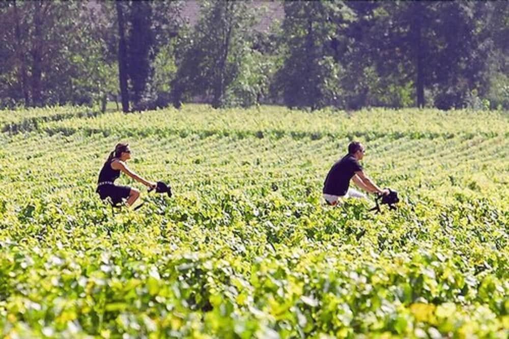 Chateau Du Breuil เชอแวร์นี ภายนอก รูปภาพ