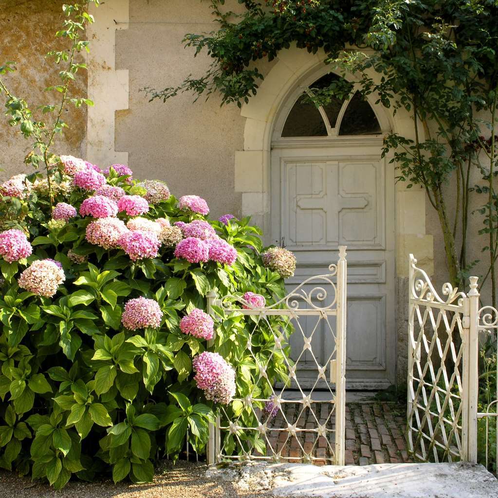 Chateau Du Breuil เชอแวร์นี ภายนอก รูปภาพ